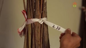 Русская ива в Дачном ответе. Выпуск от 20.11.2022г.