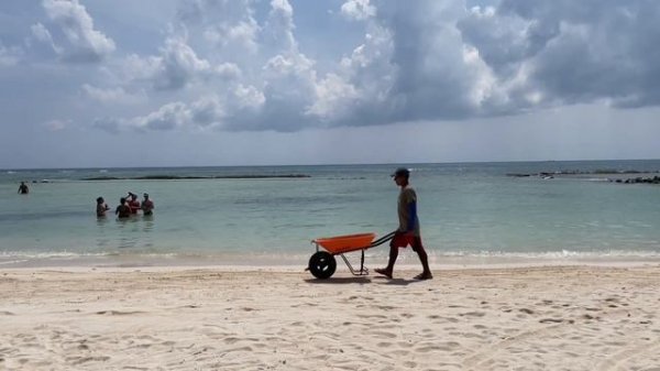 Laid Back - Mig (lyrics in english in description)