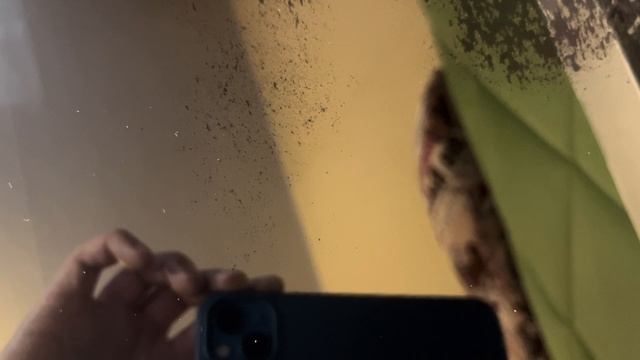 Стер антиблик на MacBook смотреть онлайн