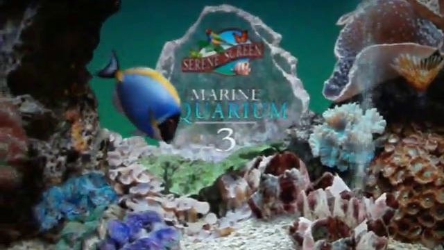 Marine Screensaver смотреть онлайн