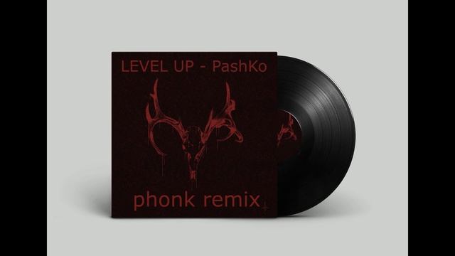 LEVEL UP phonk remix PashKo Премьера трека 2021 смотреть онлайн