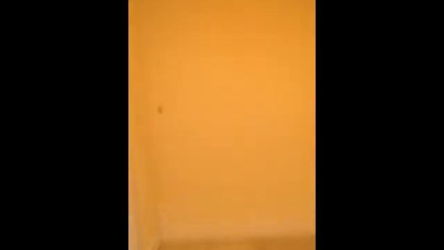 14895 Sterling Oaks Dr Naples 34110 смотреть онлайн