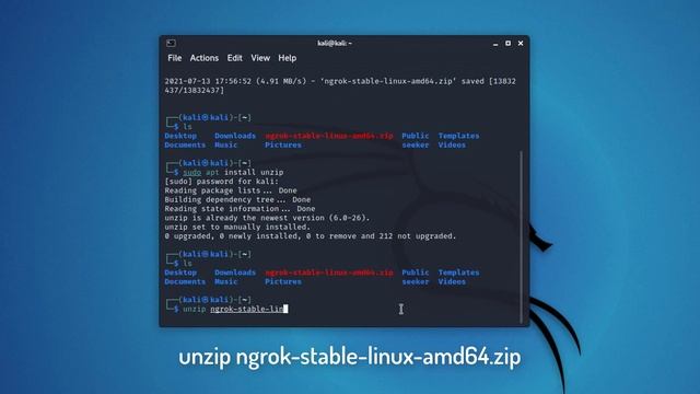 How to Install Ngrok on Kali Linux | Kali Linux 2021.2 Tutorial смотреть онлайн