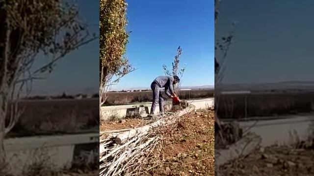 Chainsaw hugsvarna 120 mark ll смотреть онлайн