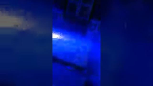 D. j siw pura tras смотреть онлайн