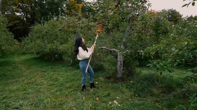 A Wholesome little Apple Picking trip смотреть онлайн