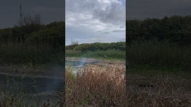 Мощные петарды от ВОЛК. Пиротехника по отличным ценам +7918-66-89-996 СТРОГО 18+