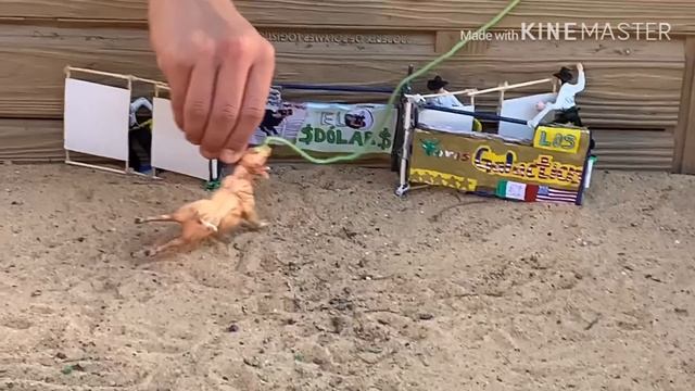 Jaripeo de juguete debutaron toros nuevos Los Destructores de La Noria Gto en La R-3 Austin, Texas смотреть онлайн