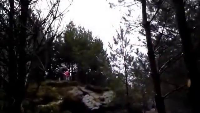 poglewoods zip wire 1.wmv смотреть онлайн