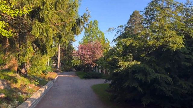 Spring in Finland 4K ProRes смотреть онлайн