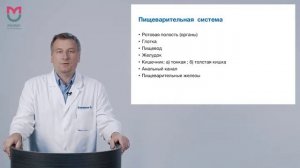 Лекция 17. Введение в спланхнологию. Пищеварительная система - 1