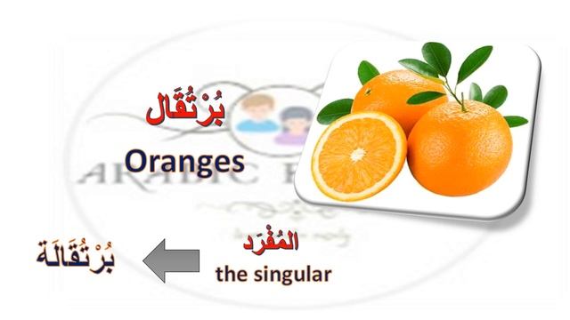 learn some names of fruits in Arabic Part 5 смотреть онлайн