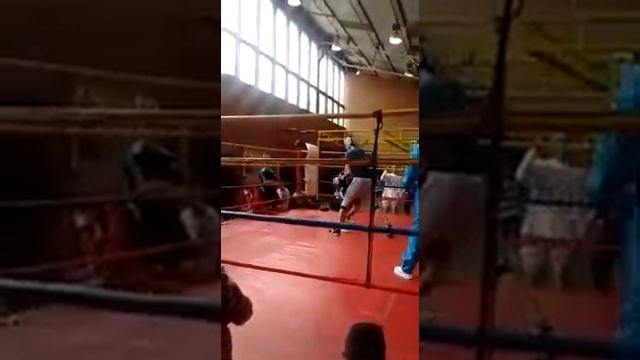 Sebastian Felipe Arevalo Palma смотреть онлайн