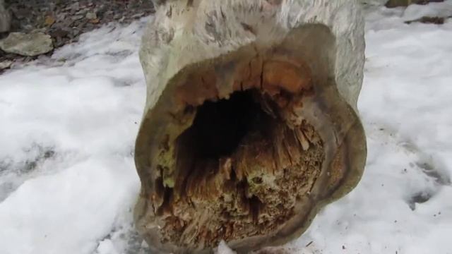 Кело эксклюзив) смотреть онлайн