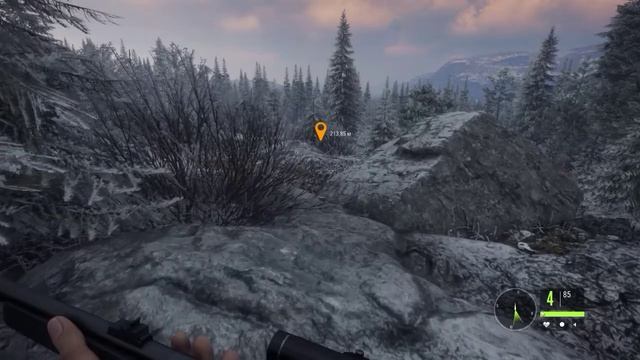theHunter: Call of the Wild смотреть онлайн