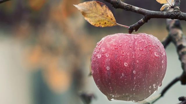 Apple Company Ko Kis ny Banya | Apple History | Succes Story смотреть онлайн
