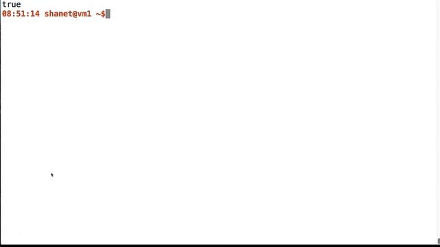 Bash Condition Testing смотреть онлайн