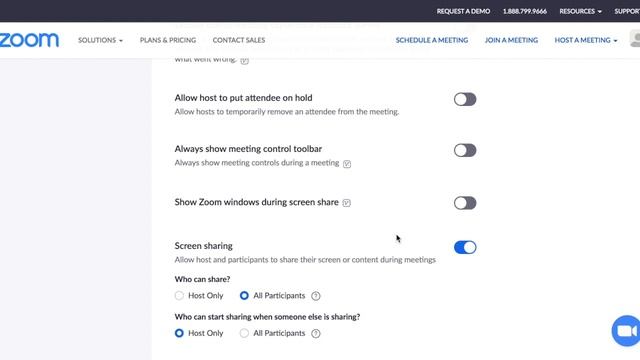 Zoom Settings смотреть онлайн