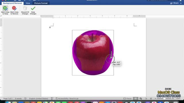 Picture Format Tap, Its Full Function in WORD on MacOS смотреть онлайн