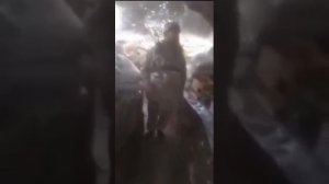 Перерождение Жириновского в зоне СВО