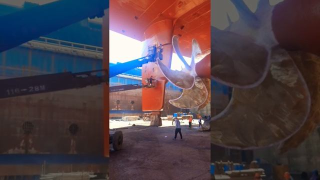 Ship #ship #propeller #dry #drydock #sea #shortsfeed #shortsvideo #shortsviral #song #music #travel