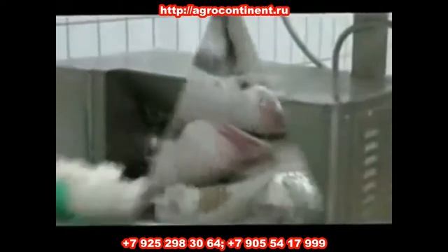 Центрифуга обезволашивания шёрстных субпродуктов смотреть онлайн