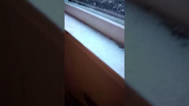 my friend kamrin jumping throw my window смотреть онлайн