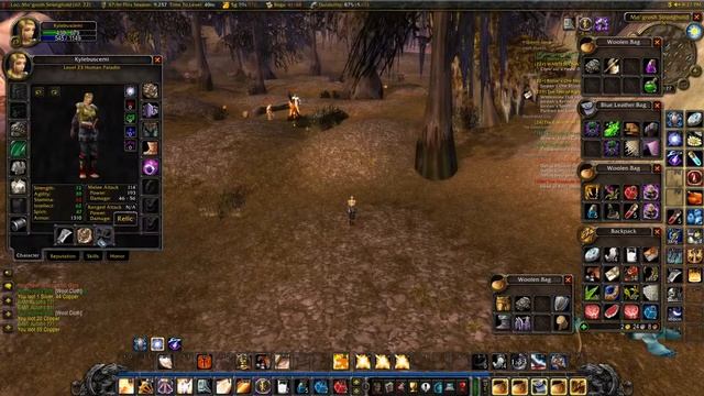 Level 23 Pali / Druid / Hunter Trio | All Instances Challenge | WoW Classic смотреть онлайн