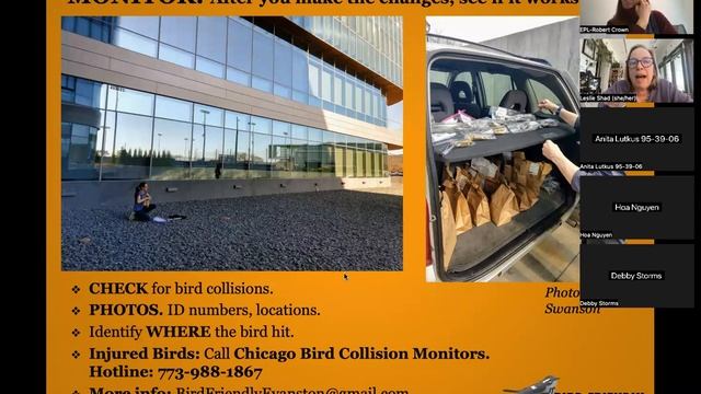 Preventing Bird Collisions: Problem Window Tips смотреть онлайн