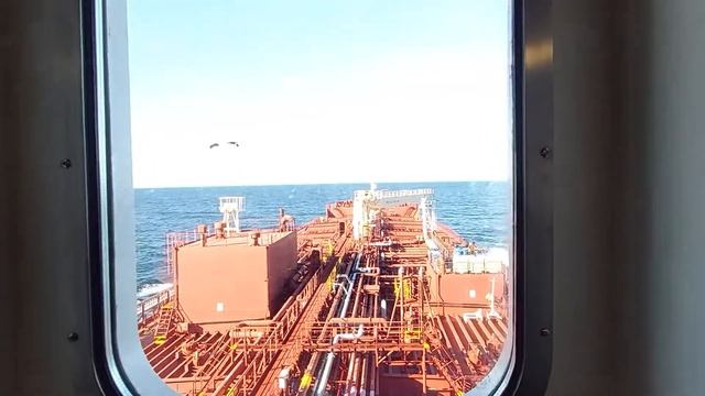 view from my window. смотреть онлайн
