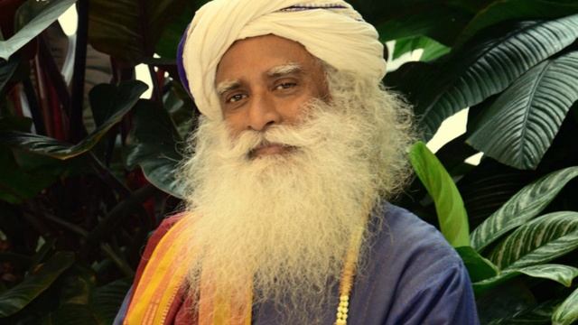 Я впускал в своё тело других существ-Садхгуру #садхгуру #sadhguru #сущность#виджи смотреть онлайн
