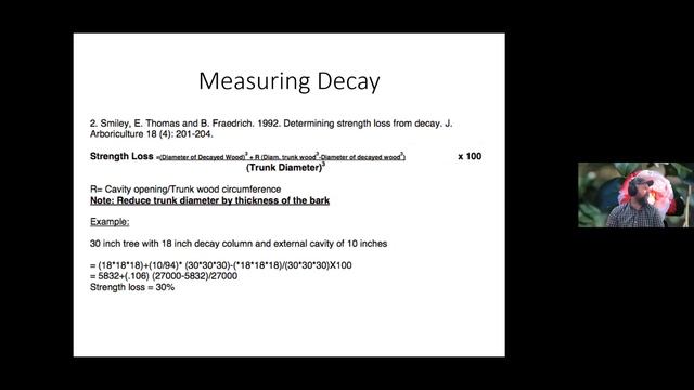 The 411 on Wood Decay in Living Things - 2.14.22 Andrew Loyd смотреть онлайн