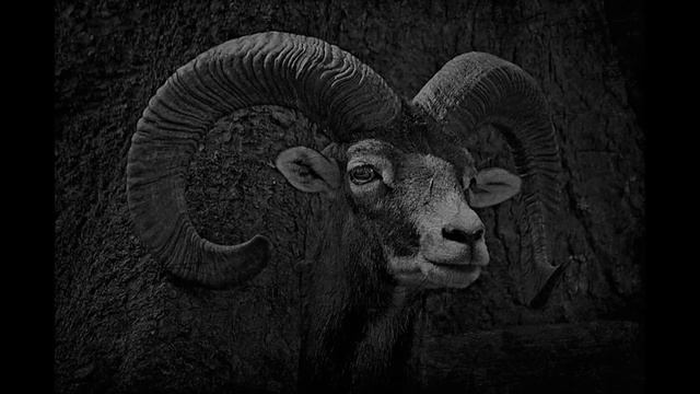 free mp3 download beat - Hardhead смотреть онлайн
