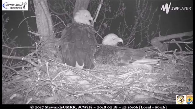 Silent movie! So many changeovers pre-07:00 - ©Trio Bald Eagles, ©SUMRR смотреть онлайн