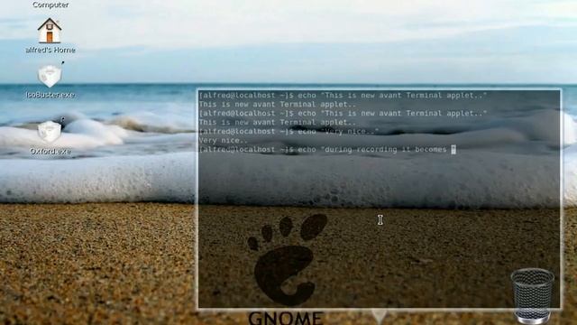 Fedora 8 (New Aavant Terminal Applet) смотреть онлайн