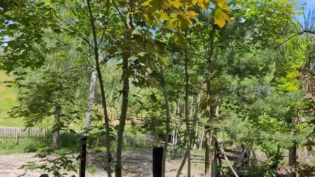 Тест видеозаписи S20 fe full HD 60fps смотреть онлайн