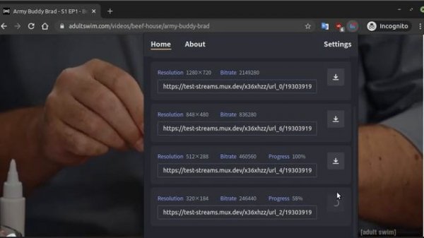 HLS Downloader - Web Extension v2