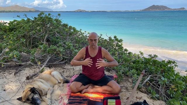 Chi-Kung (Qigong) Meditation Hawai’i - Kailua Beach - Blooming of Spring смотреть онлайн