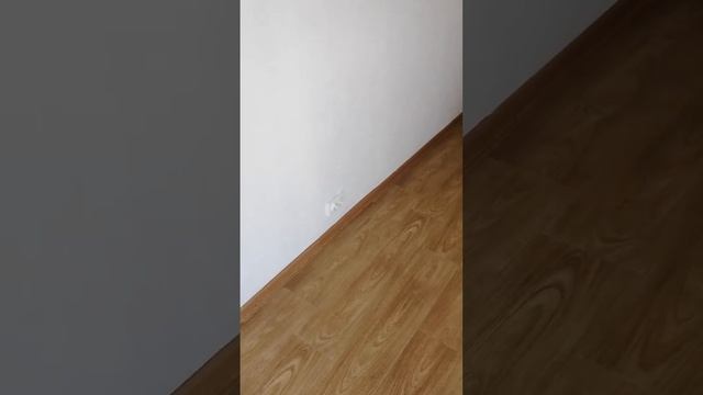 Жилой модуль перед отправкой покупателю. смотреть онлайн