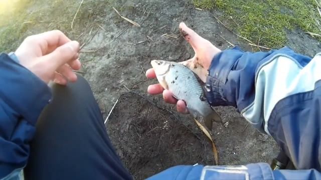 ЛОВЛЮ В АПРЕЛЬСКОГО КАРАСЯ НА ДАЛЬНЯКИ! КЛЮЕТ КАК С ПУЛЕМЁТА!!! смотреть онлайн