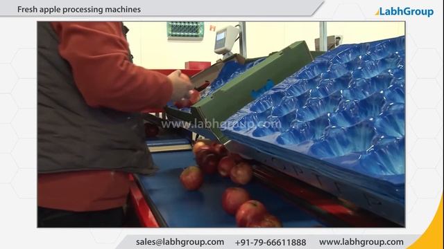 Fresh apple processing machines | Top machines for fresh apple processing | Labh Group смотреть онлайн