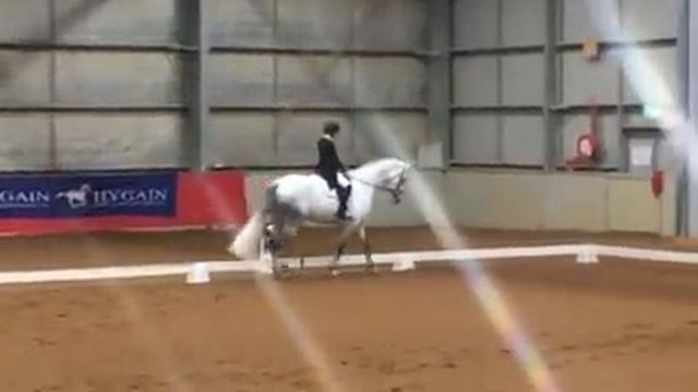 Free Cloud Advanced Freestyle. смотреть онлайн