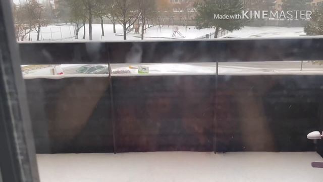 First snow fall from my balcony n window in Mississauga Canada смотреть онлайн