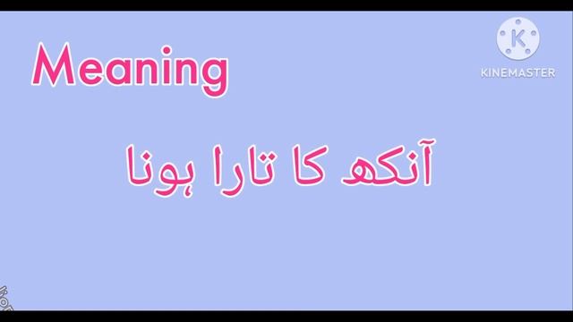 Apple of my eye English Idiom| Meaning and Example смотреть онлайн