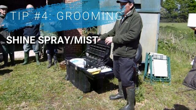 SHOW TIPS PART 3 | WASHING AND GROOMING смотреть онлайн