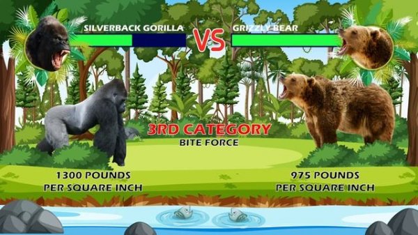 Silverback Gorilla Vs Grizzly Bear