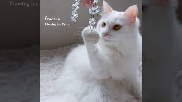 Paradise Apple смотреть онлайн