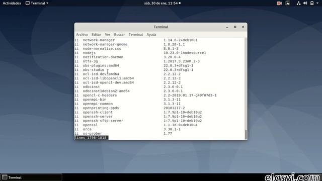 Desinstalar un programa en Linux (Debian 10) смотреть онлайн