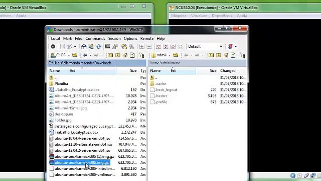 Instalação e configuração do Eucalyptus no Ubuntu 10.04 смотреть онлайн