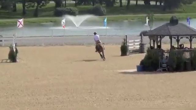 SYL Europa Country Heir 7/8 year olds 1.35mts смотреть онлайн